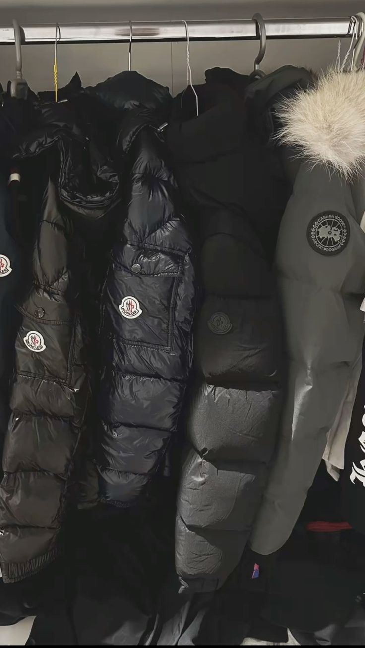 Vestes